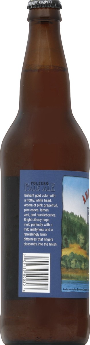 slide 3 of 4, Anderson Valley Brewing Anderson Valley Poleeko Gold Pale Ale, 22 oz