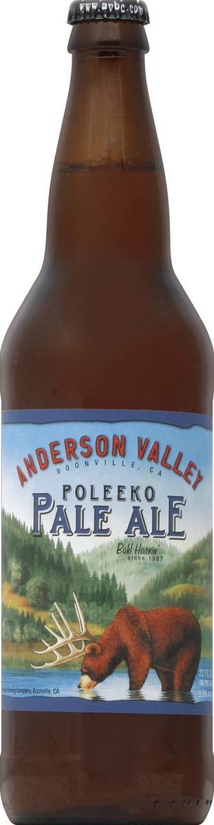 slide 4 of 4, Anderson Valley Brewing Anderson Valley Poleeko Gold Pale Ale, 22 oz