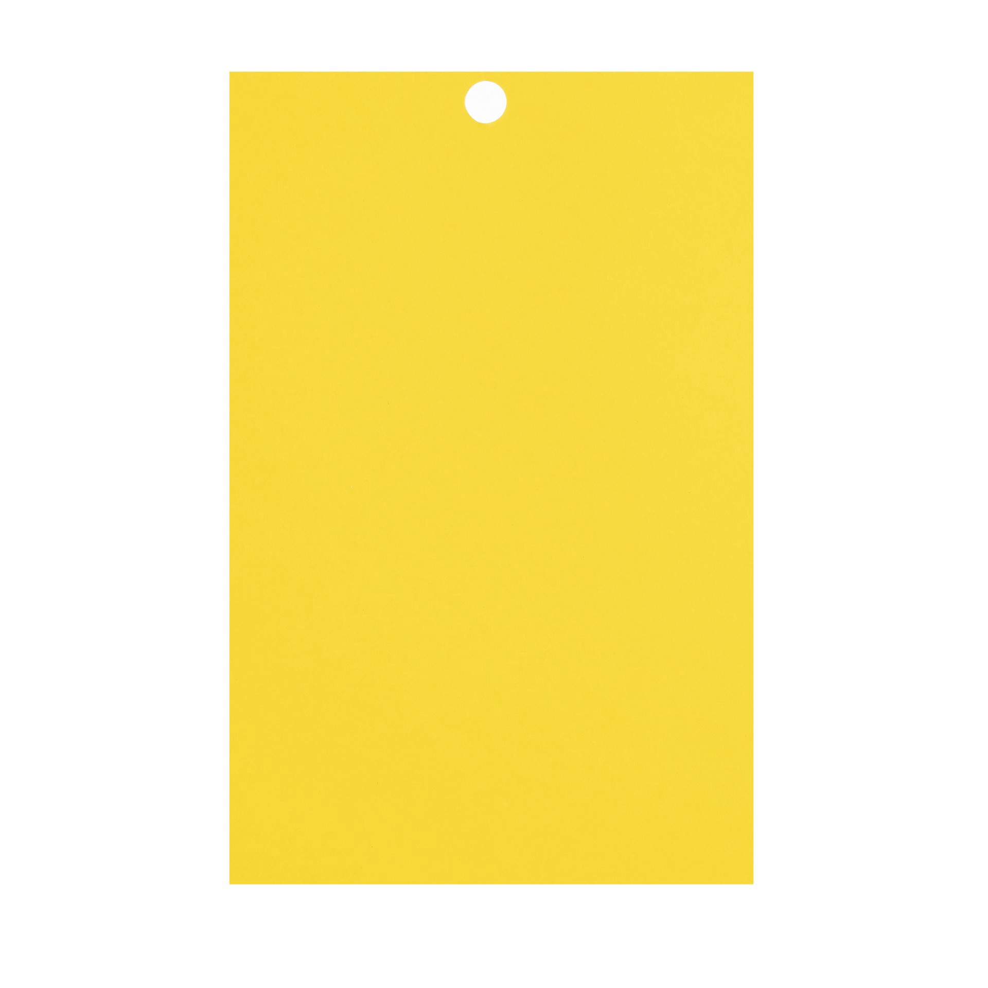 slide 7 of 8, Primary 4.5" X 7" Cardstock Paper By Recollections, 100 Sheets, 4.5 in x 7 in