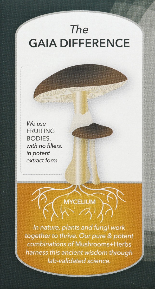 slide 6 of 10, Gaia Herbs Mushrooms Herbs 60 ea, 60 ct