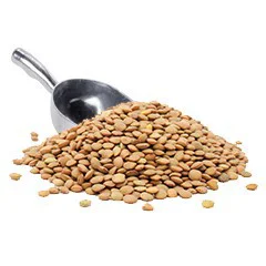 Lentils