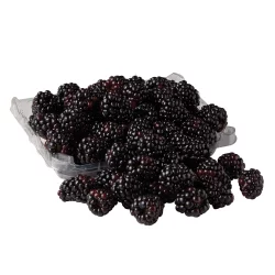 Fresh Blackberries