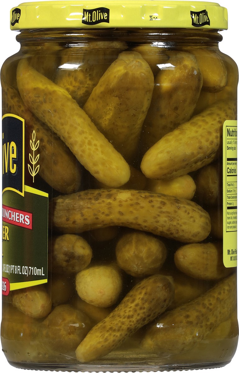 slide 7 of 7, Mt. Olive Kosher Dill Pickles 24 fl oz, 24 fl oz