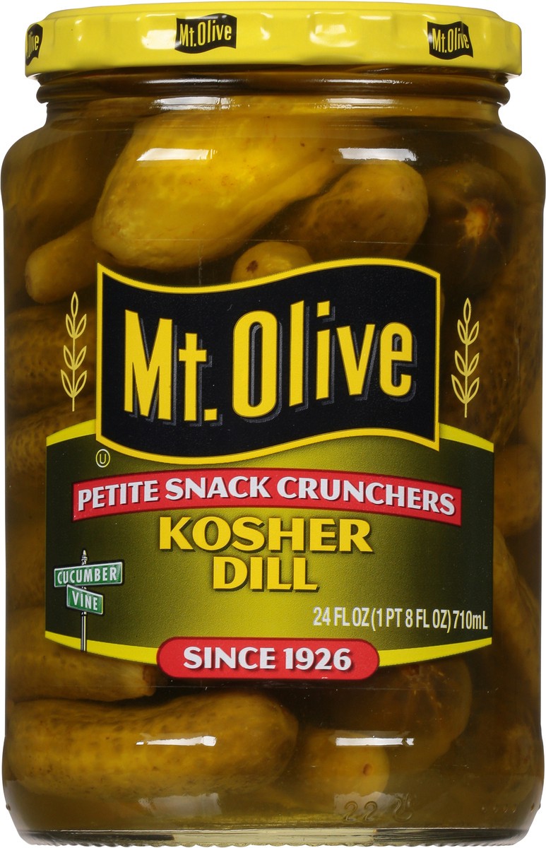 slide 1 of 7, Mt. Olive Kosher Dill Pickles 24 fl oz, 24 fl oz