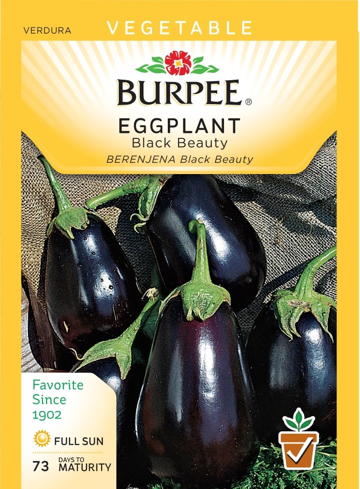 slide 1 of 1, Burpee Black Beauty Eggplant Seeds, 1 ct