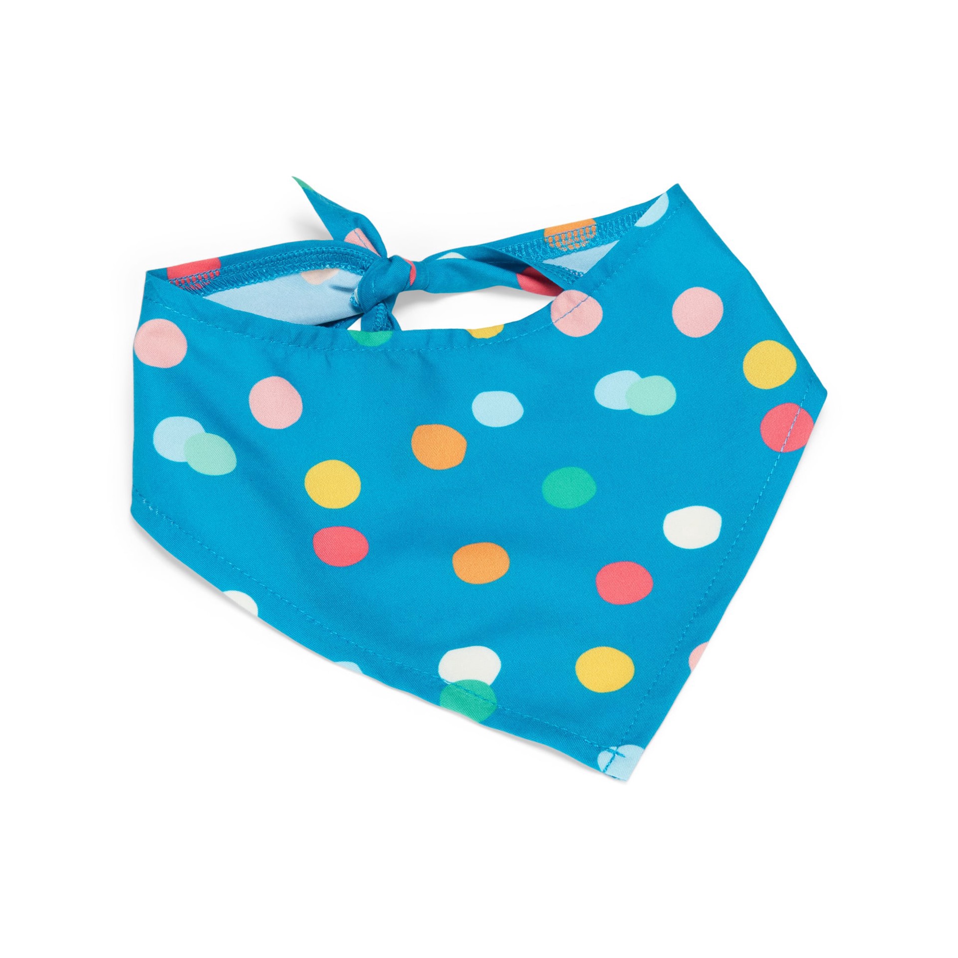 slide 1 of 1, YOULY Birthday Party Set for Dogs, Large/X-Large, Blue, 1 ct