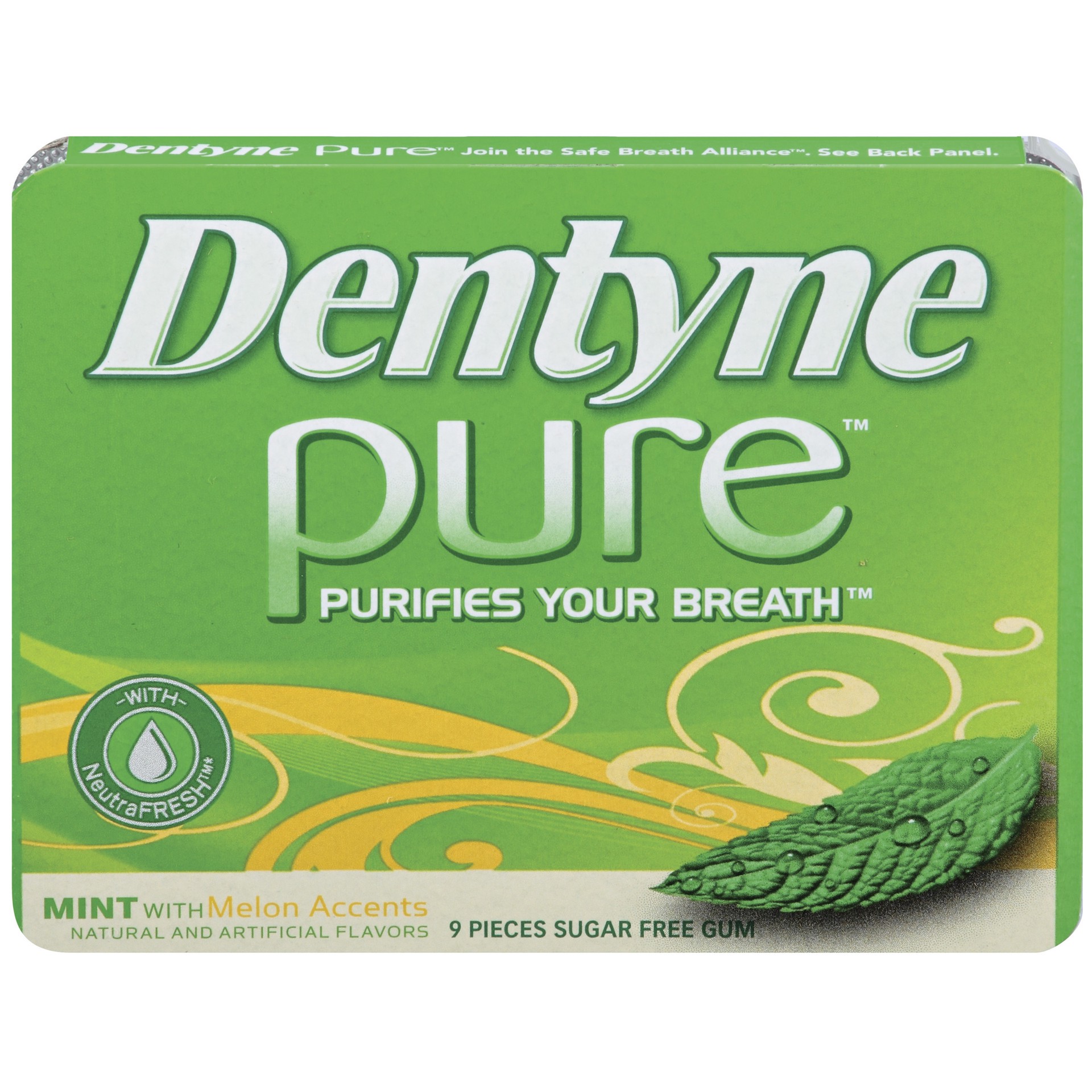 slide 2 of 2, Dentyne Pure Mint with Melon Accents Sugar Free Gum, 9 Piece Pack, 0.05 lb