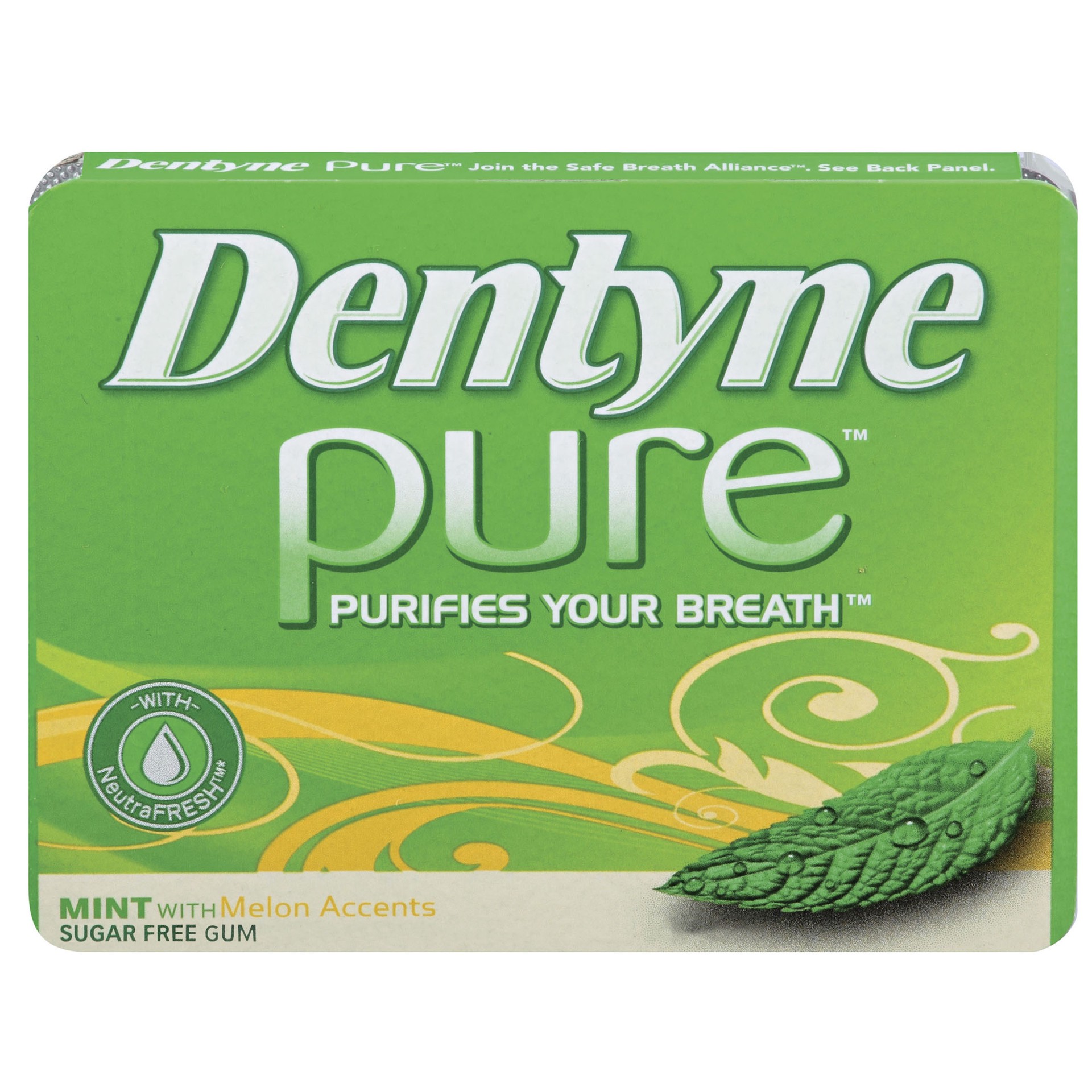 slide 1 of 2, Dentyne Pure Mint with Melon Accents Sugar Free Gum, 9 Piece Pack, 0.05 lb