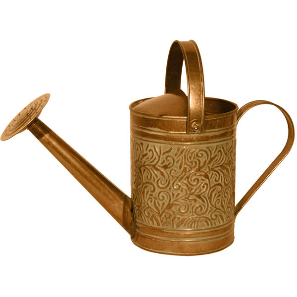 slide 1 of 1, Morgan Watering Can-Copper, 1 gal