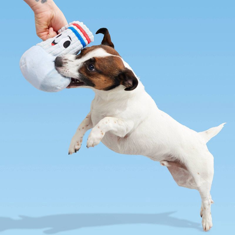 slide 5 of 7, BARK Snack Pack Jim Sock Dog Plush Toy, 1 ct