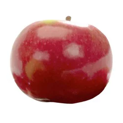 Cortland Apple