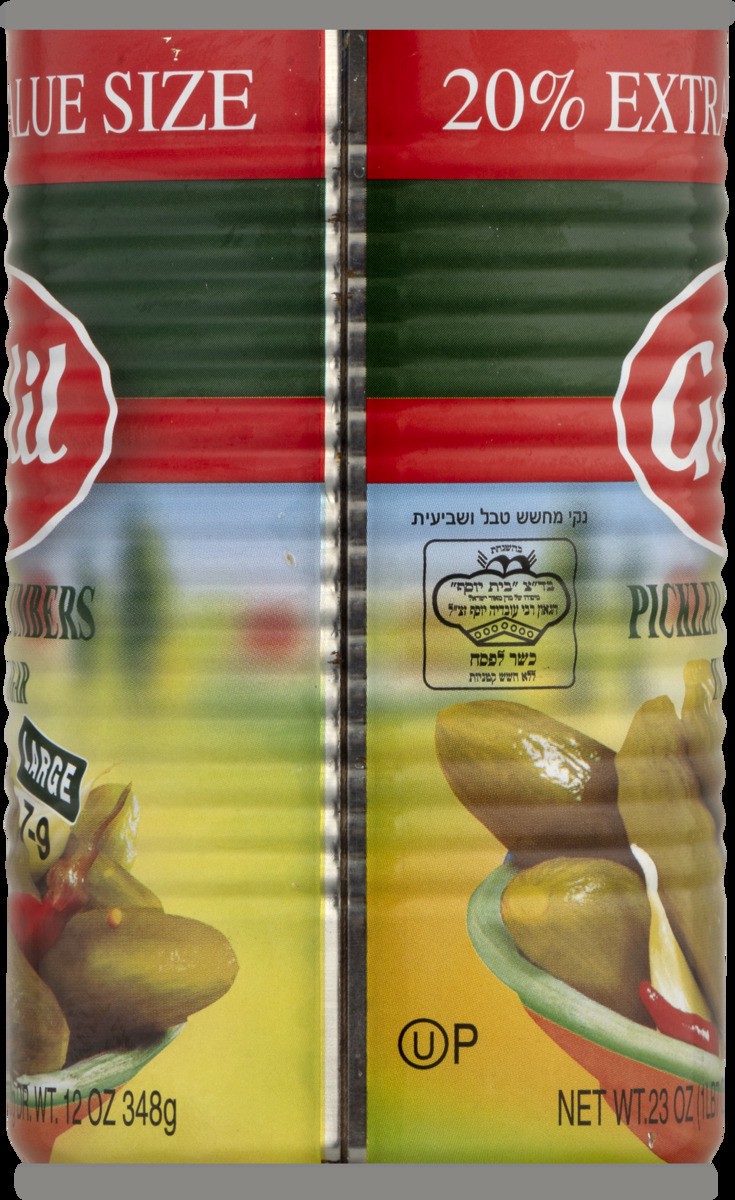 slide 8 of 10, Galil Pickled Cucumbers In Vinegar Large Value Size - 23 oz, 23 oz