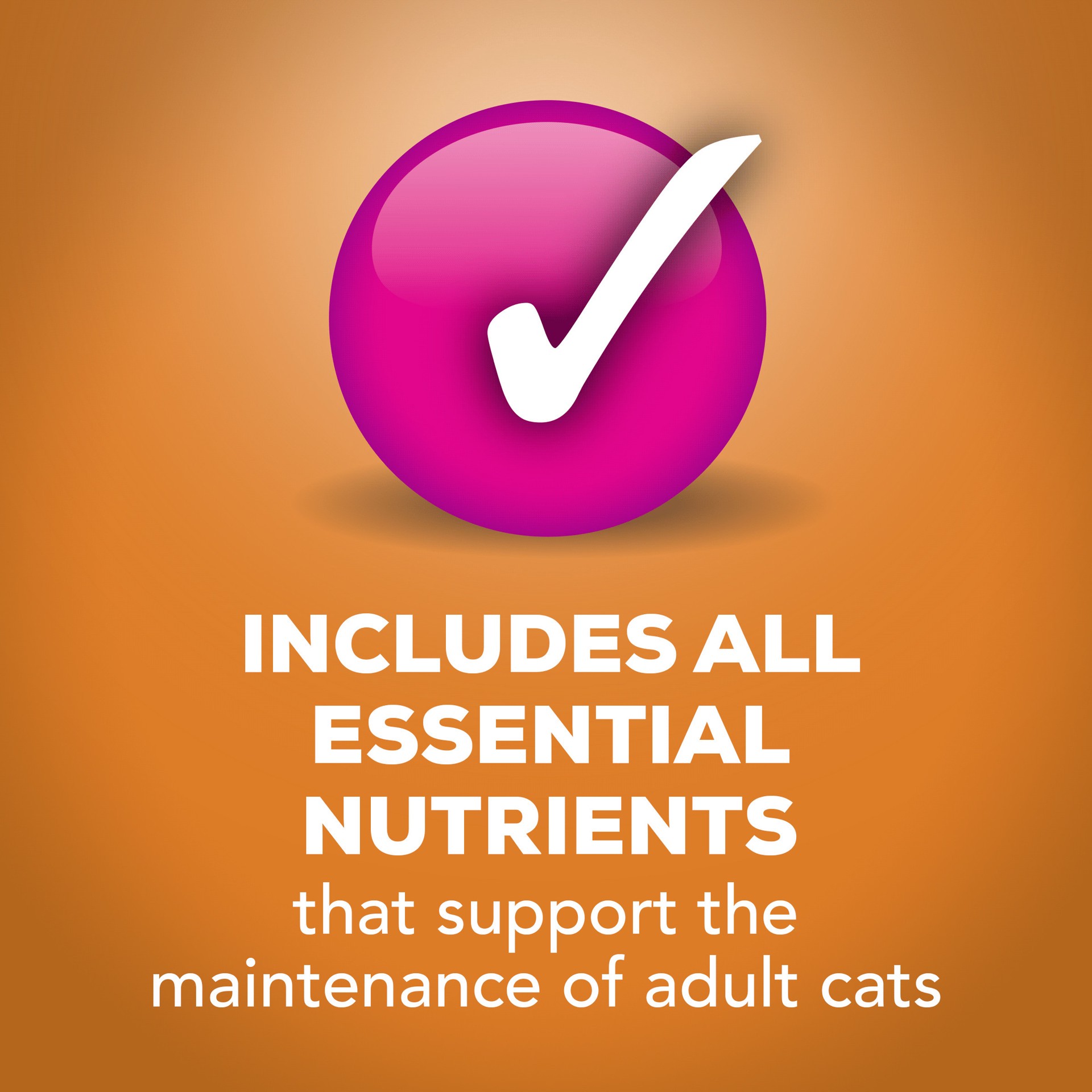 slide 7 of 9, Friskies Purina Friskies Gravy Wet Cat Food Variety Pack, Extra Gravy Chunky - (24) 5.5 oz. Cans, 24 ct