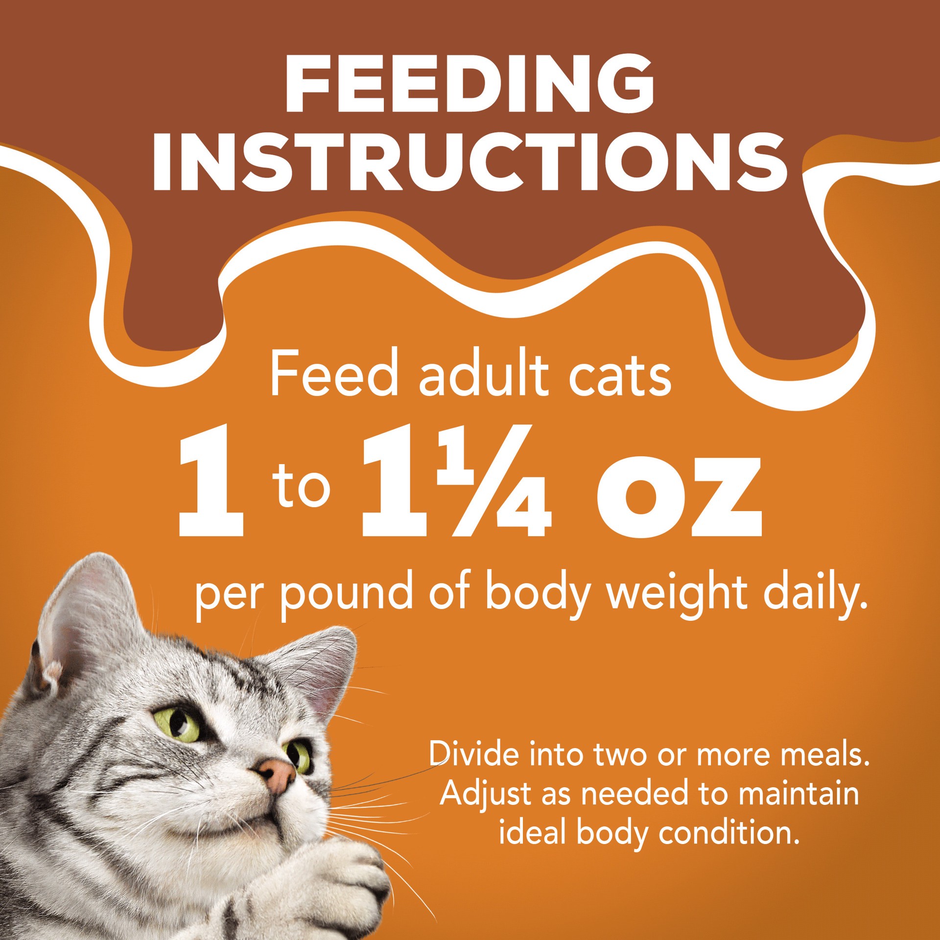 slide 9 of 9, Friskies Purina Friskies Gravy Wet Cat Food Variety Pack, Extra Gravy Chunky - (24) 5.5 oz. Cans, 24 ct