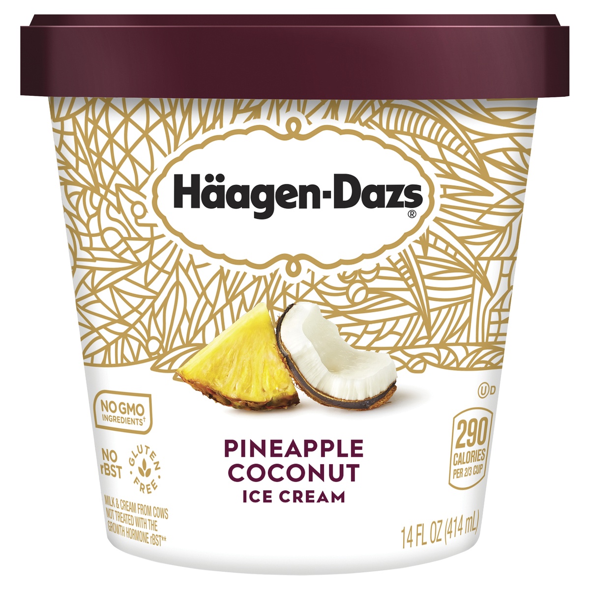 slide 1 of 1, Häagen-Dazs Pineapple Coconut Ice Cream, 14 fl oz
