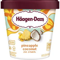 Häagen-Dazs Ice Cream, Pineapple Coconut