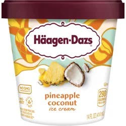 Häagen-Dazs Ice Cream, Pineapple Coconut
