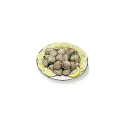 Clam Steamer Live - 1 lb