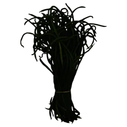 Produce Long Beans - 1 ea