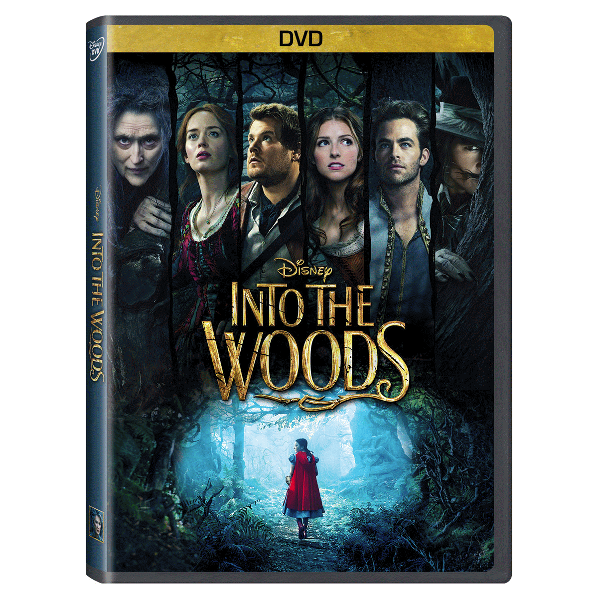 slide 1 of 1, Into the Woods (dvd_video), 1 ct