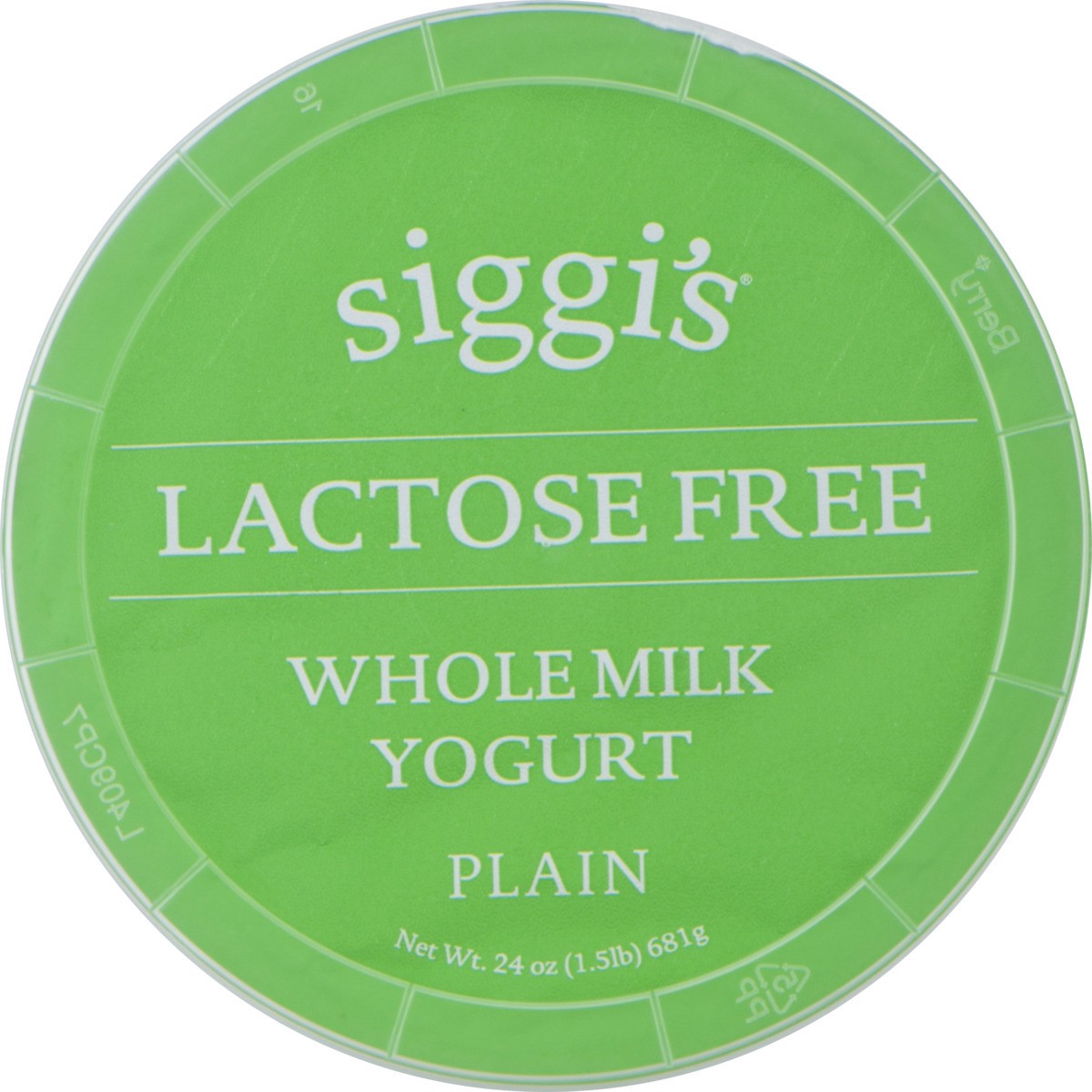 slide 5 of 11, Siggi's Lactose Free Plain Yogurt, 24 oz