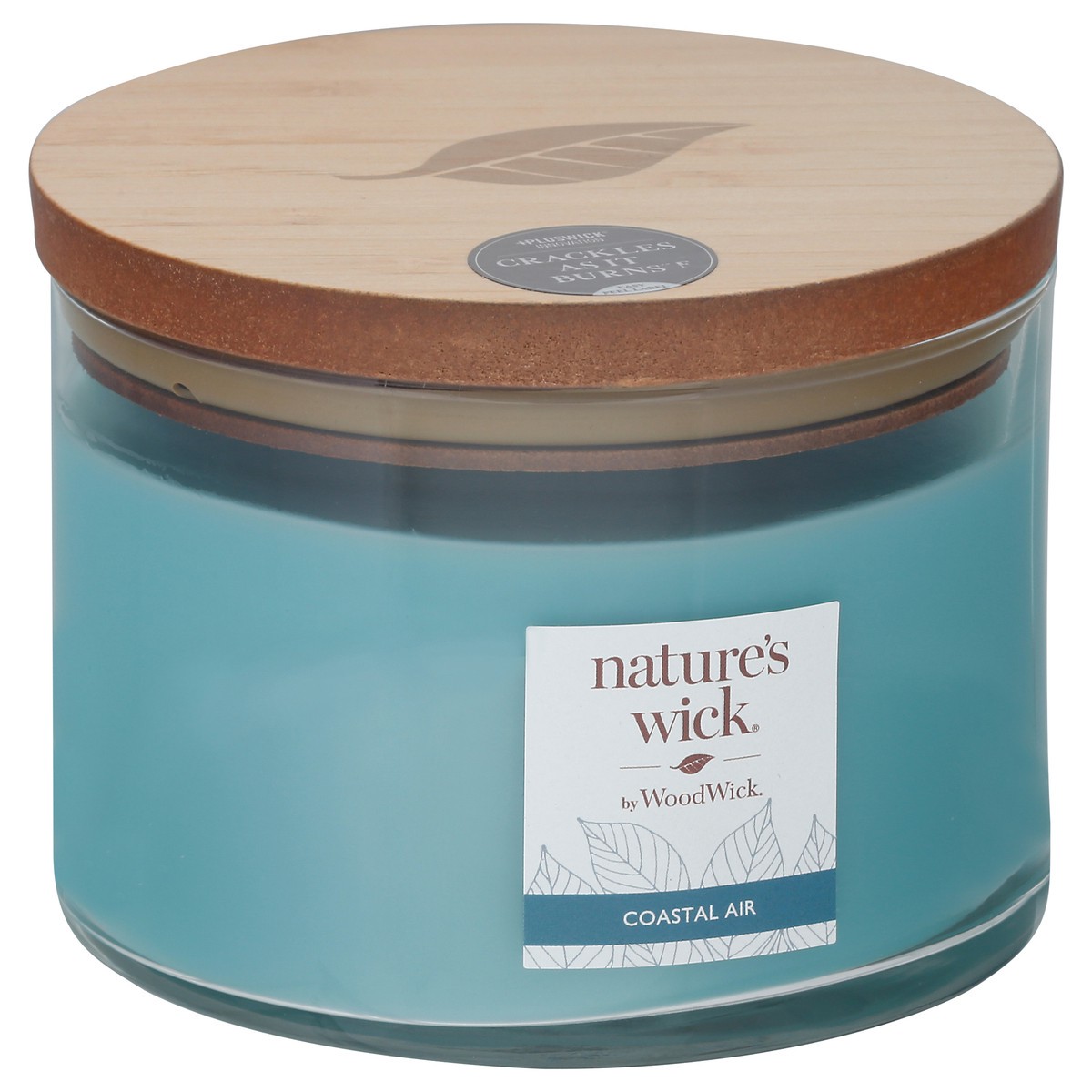 slide 2 of 9, Nature's Wick Coastal Air Candle 1 ea, 1 ct