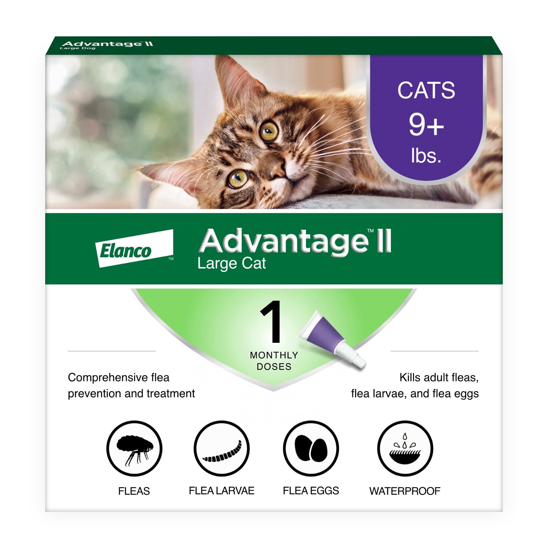 slide 1 of 1, Advantage II Vet-Recommended Flea Treatment & Prevention for Large Cats, Count of 1, 1 ct
