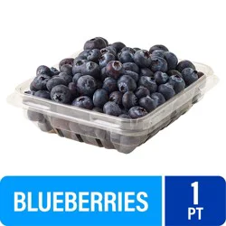 Blueberries