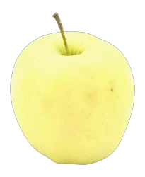 Extra Small Golden Delicious Apple