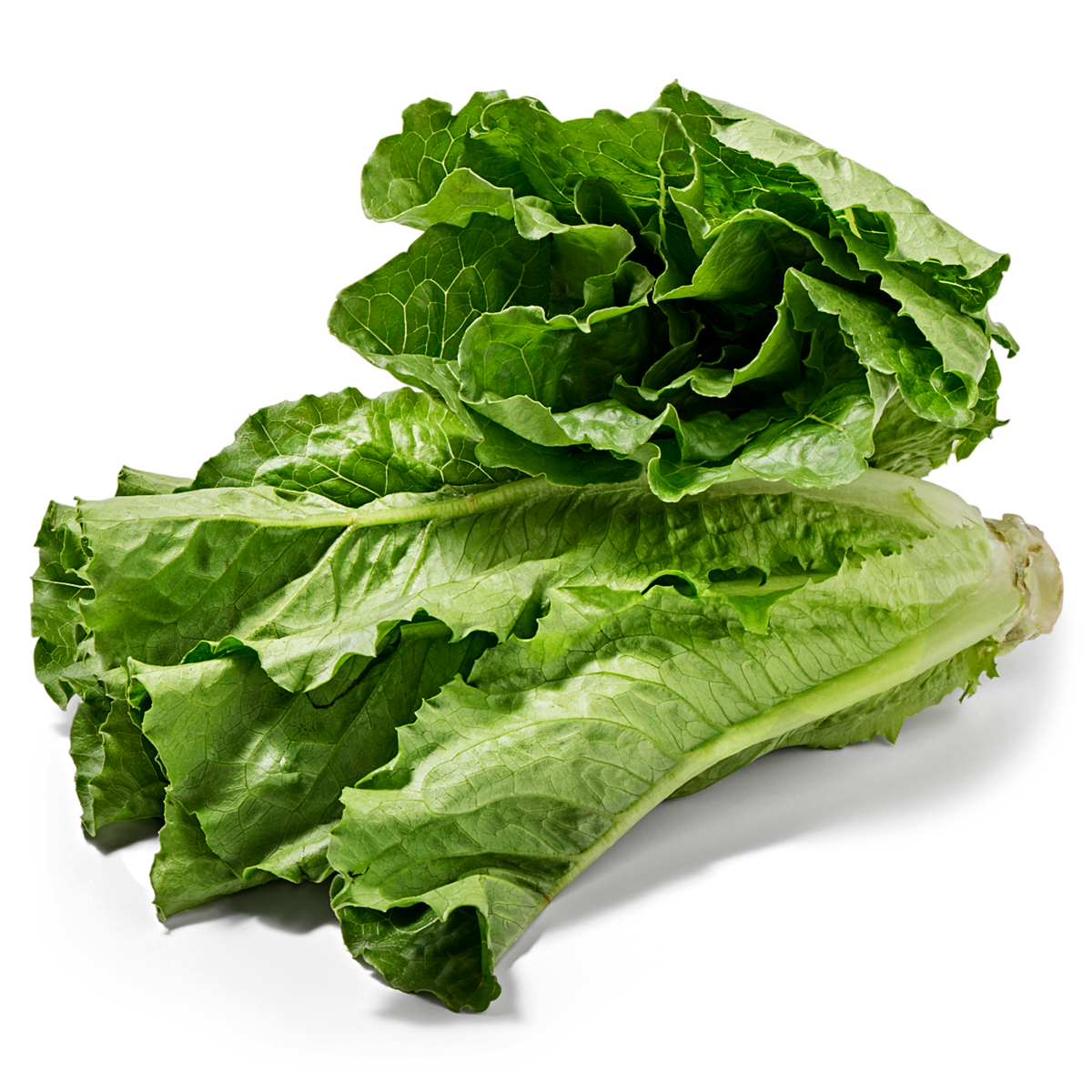 slide 2 of 2, Lettuce Romaine, 1 ct