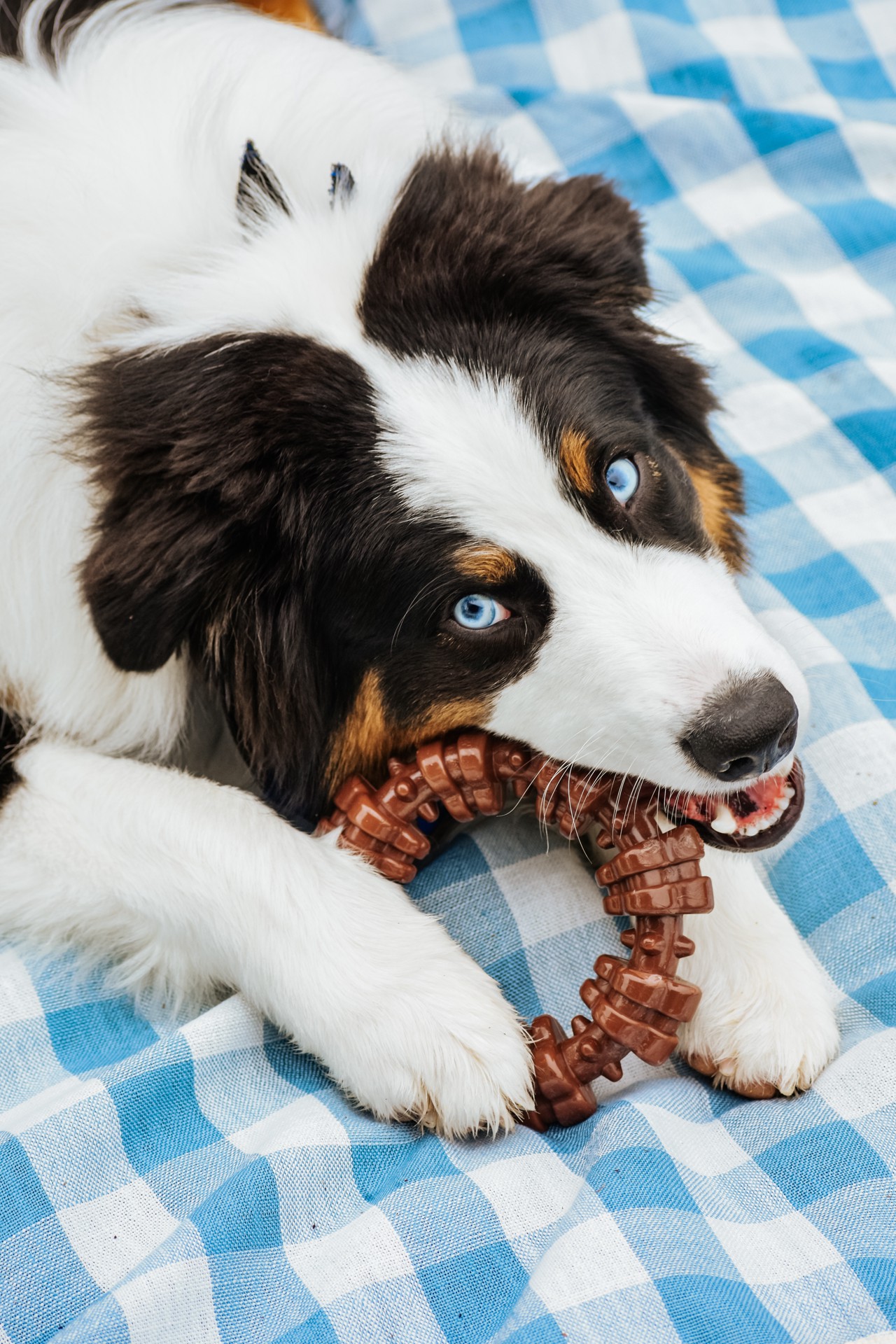 slide 7 of 10, Nylabone Power Chew Textured Dog Ring Toy Flavor Medley X-Large/Souper - 50+ lbs.(1 Count), 1 ct