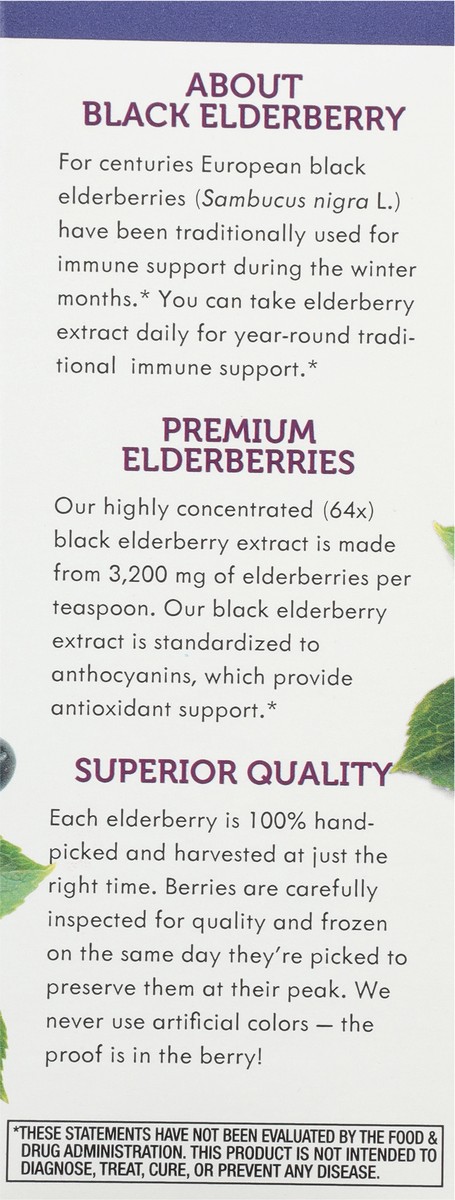 slide 4 of 9, Nature's Way Sambucus Traditional Elderberry Immune Syrup 4 fl oz, 4 fl oz