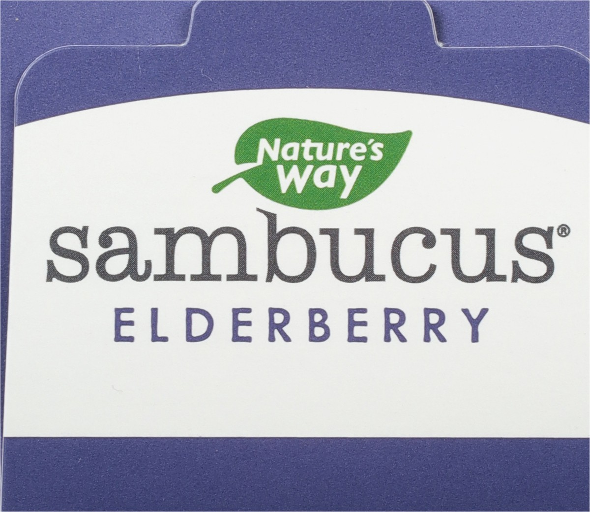 slide 6 of 9, Nature's Way Sambucus Traditional Elderberry Immune Syrup 4 fl oz, 4 fl oz