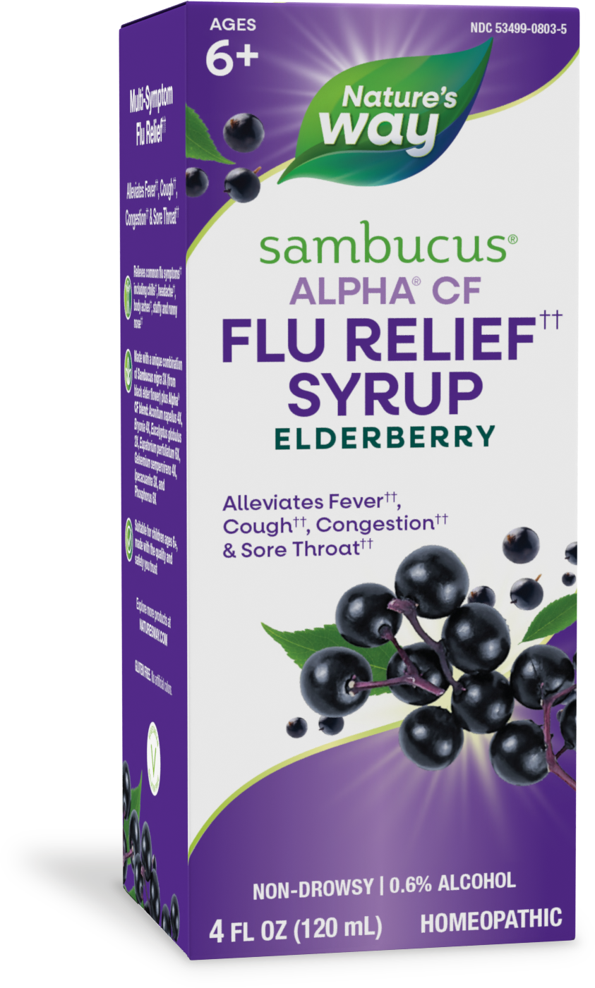 slide 1 of 5, Nature's Way Sambucus Flu Relief Syrup, 4 oz