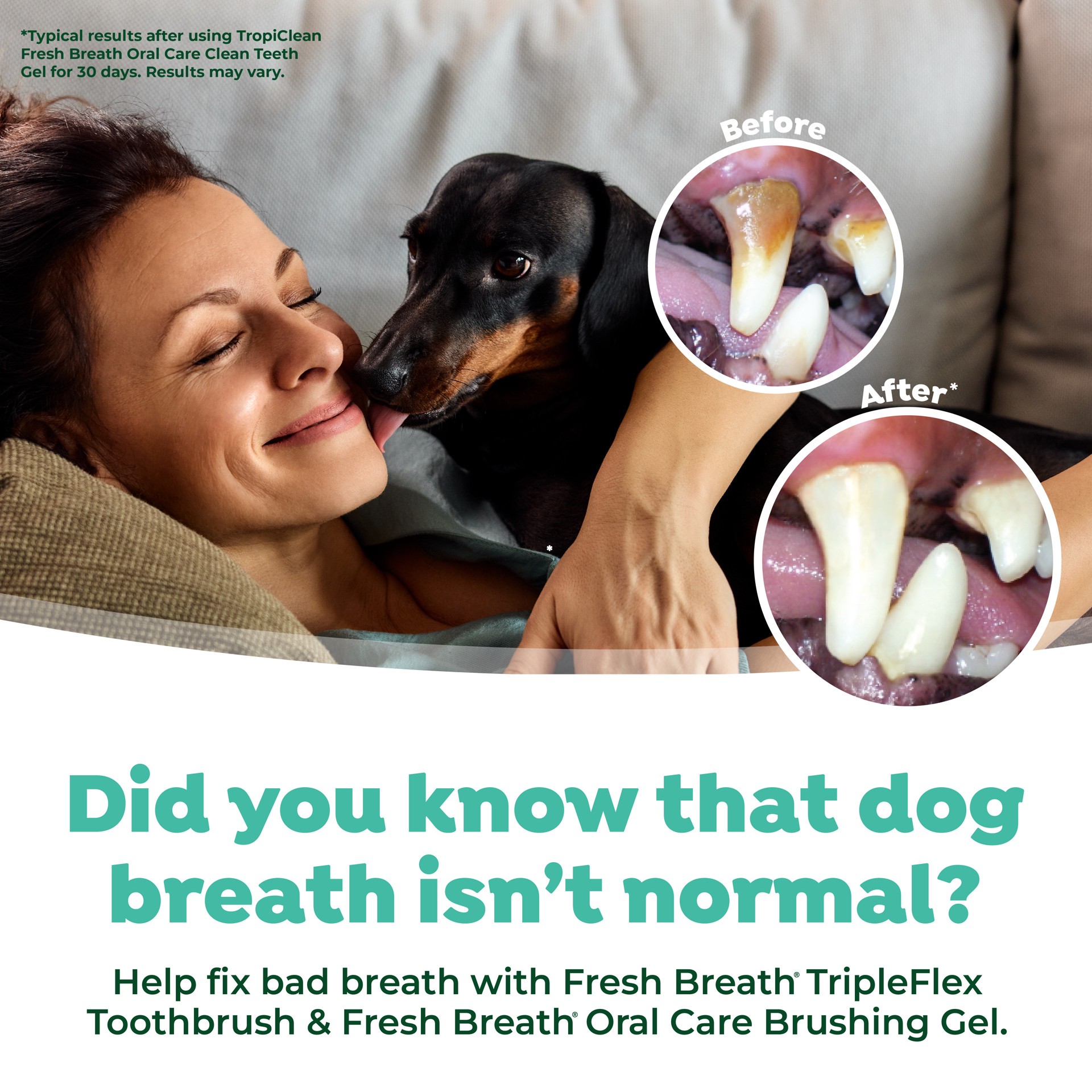 slide 3 of 8, TropiClean Fresh Breath Triple Flex Toothbrush for Small and Medium Dogs, 1 ct