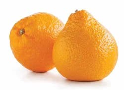 Mandarin 1 ea