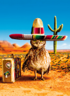 slide 1 of 1, Avanti Card Bday Owl Sombrero Core Vers, 1 ct