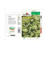 Burpee Tendergreen Mustard Seeds - Green