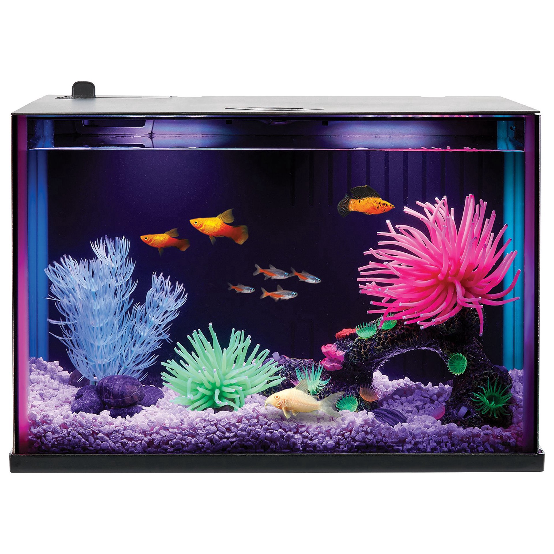 slide 1 of 1, Top Fin Custom Colorflow Aquarium with 7 Color-Changing LEDs, 3 gal