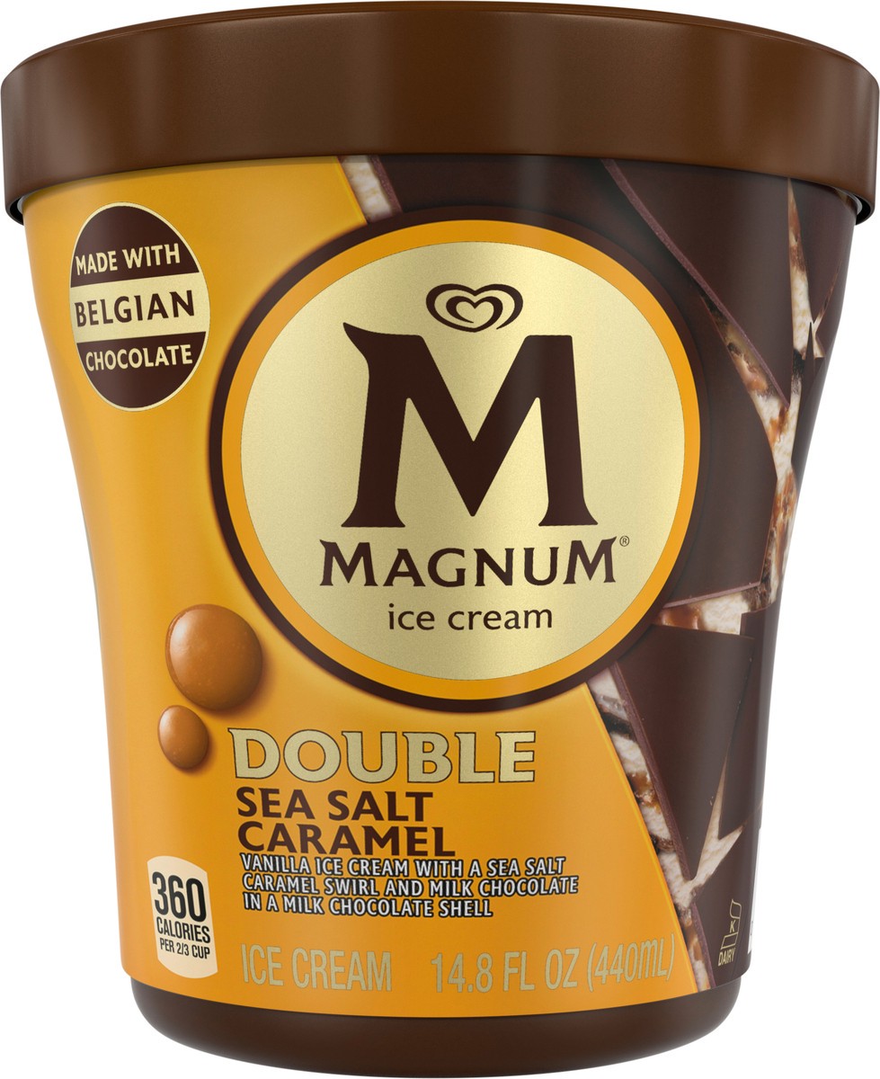 slide 4 of 6, Magnum Ice Cream Tub Double Sea Salt Caramel, 14.8 oz, 14.8 oz