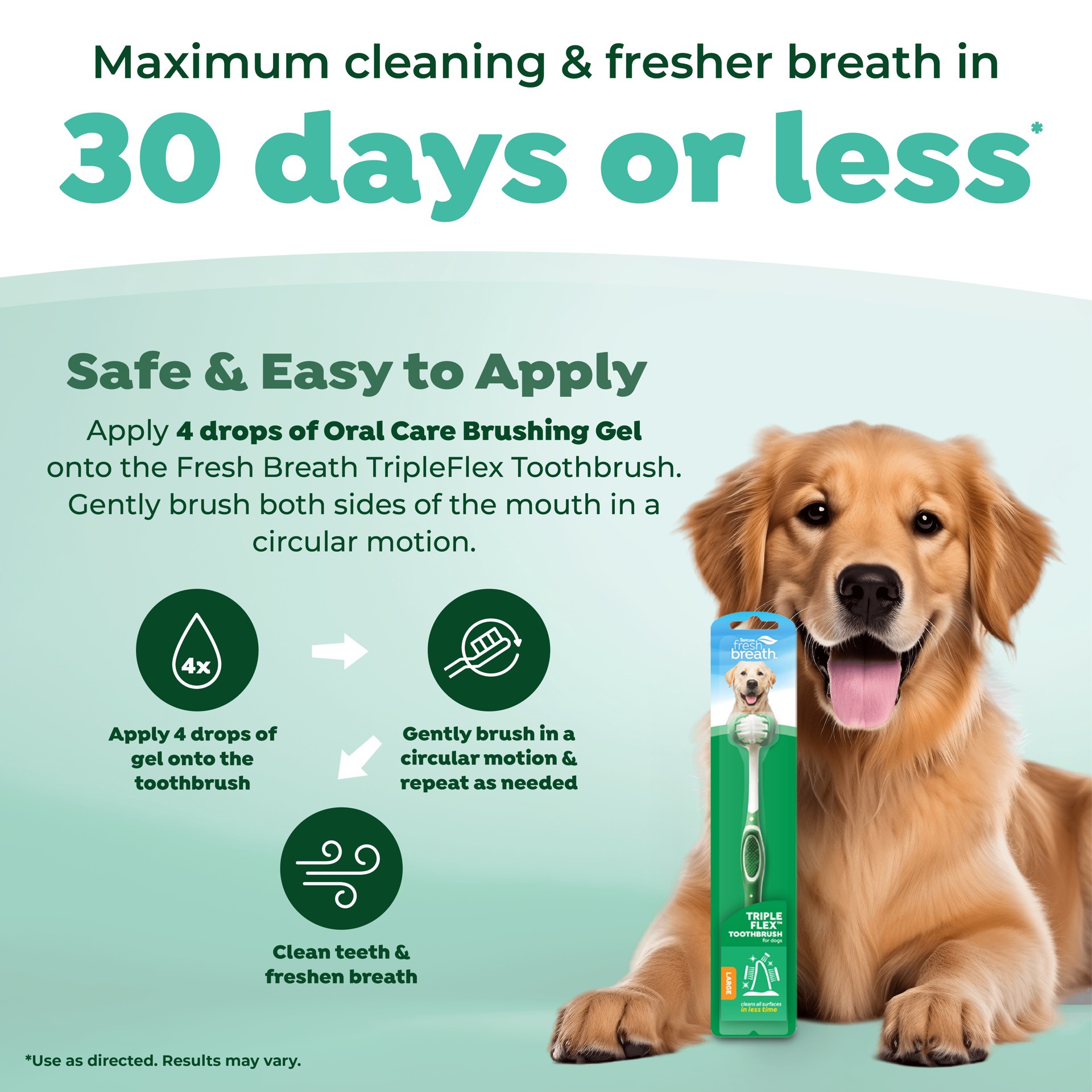slide 3 of 8, TropiClean Fresh Breath Triple Flex Toothbrush for Large Dogs, 1 ct