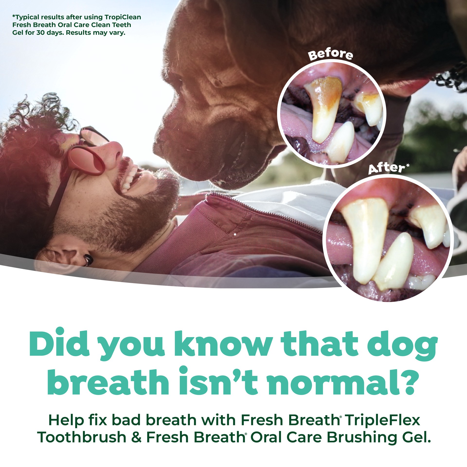 slide 4 of 8, TropiClean Fresh Breath Triple Flex Toothbrush for Large Dogs, 1 ct