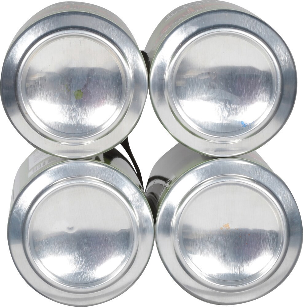 slide 3 of 6, Toasty Kettlyst Beer Company IPA Gateway of India Beer 4 - 16 fl oz Cans, 4 ct; 16 oz