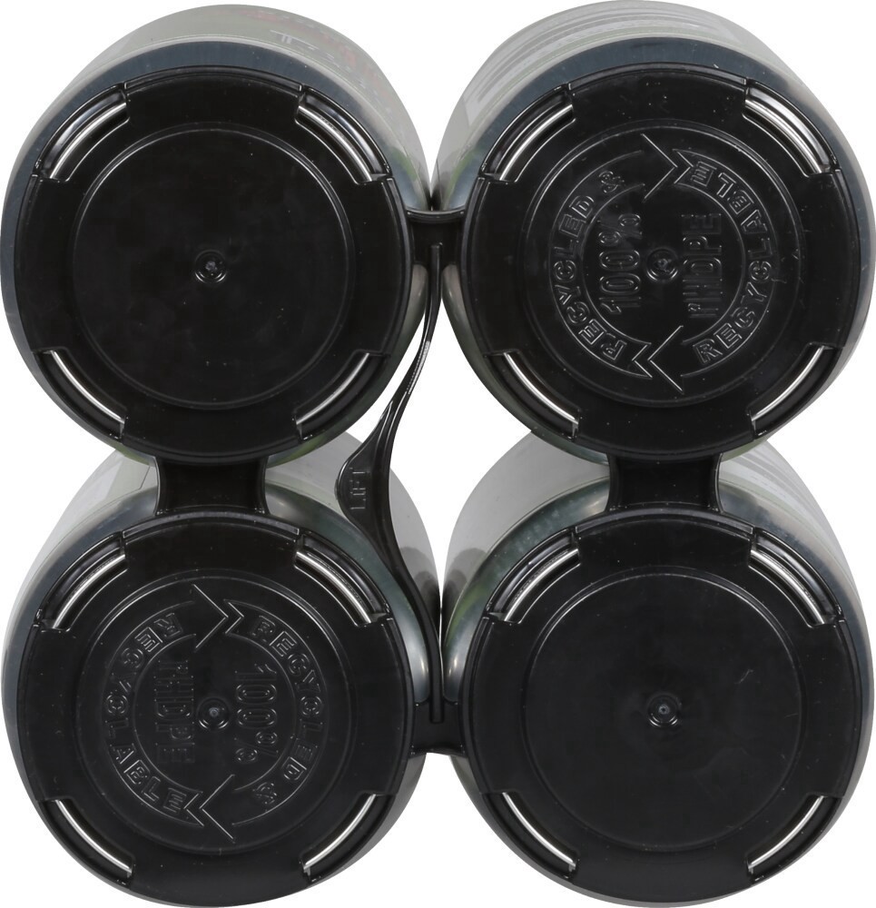 slide 5 of 6, Toasty Kettlyst Beer Company IPA Gateway of India Beer 4 - 16 fl oz Cans, 4 ct; 16 oz