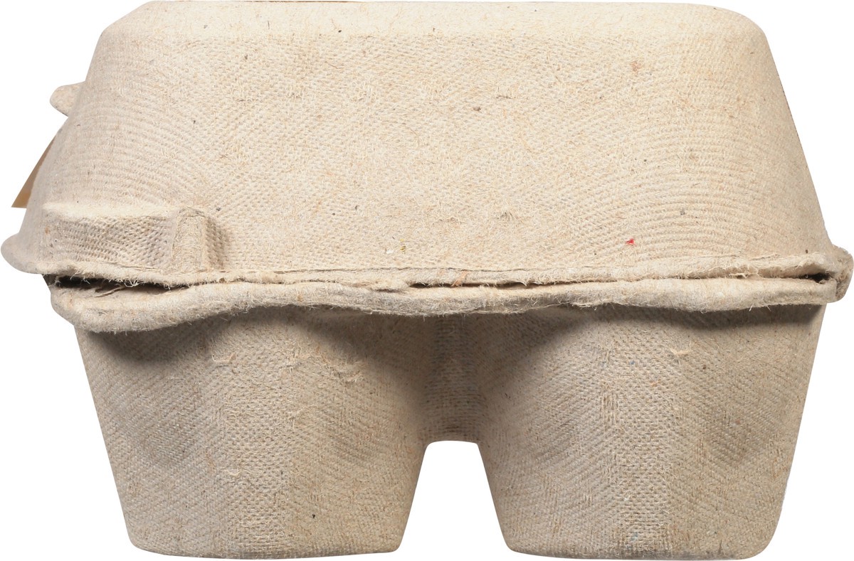 slide 5 of 9, The Farmer's Cow Large Brown Eggs 12 ea, 12 ct