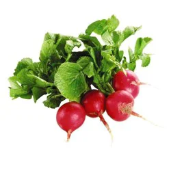 Radish 1 Ea