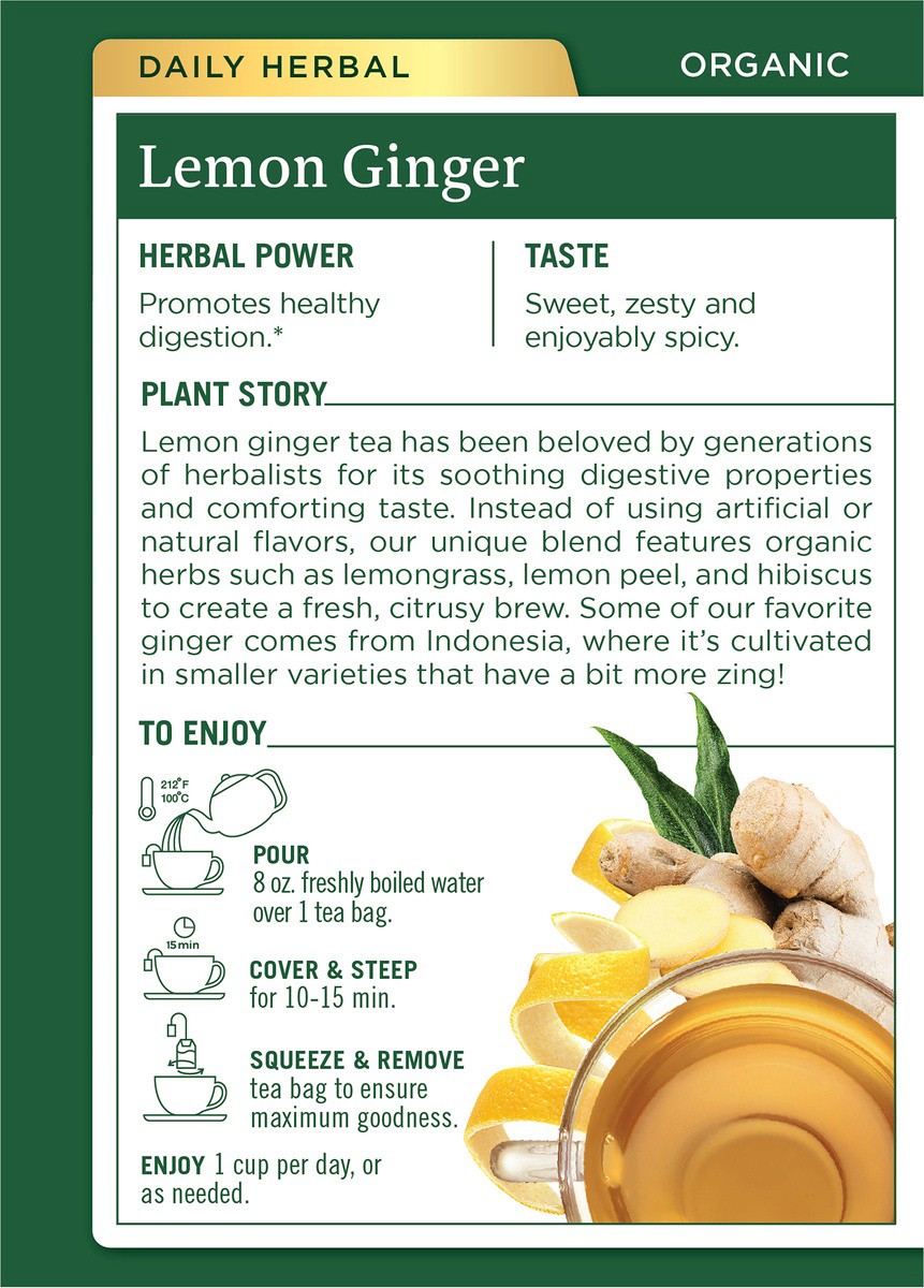 slide 2 of 6, Traditional Medicinals Organic Tea Bags Lemon Ginger Herbal Supplement - 16 ct, 16 ct