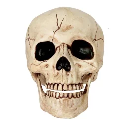 Halloween Skeleton Skull Decor
