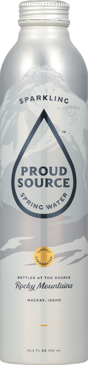 slide 2 of 14, Proud Source Lightly Carbonated Sparkling Spring Water 25.3 fl oz, 25.3 fl oz