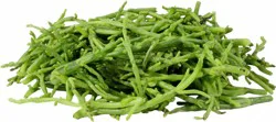 Sea Beans